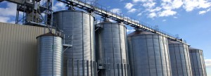 Strutture Metalliche per Settore Agricolo - Costa Dionisio snc